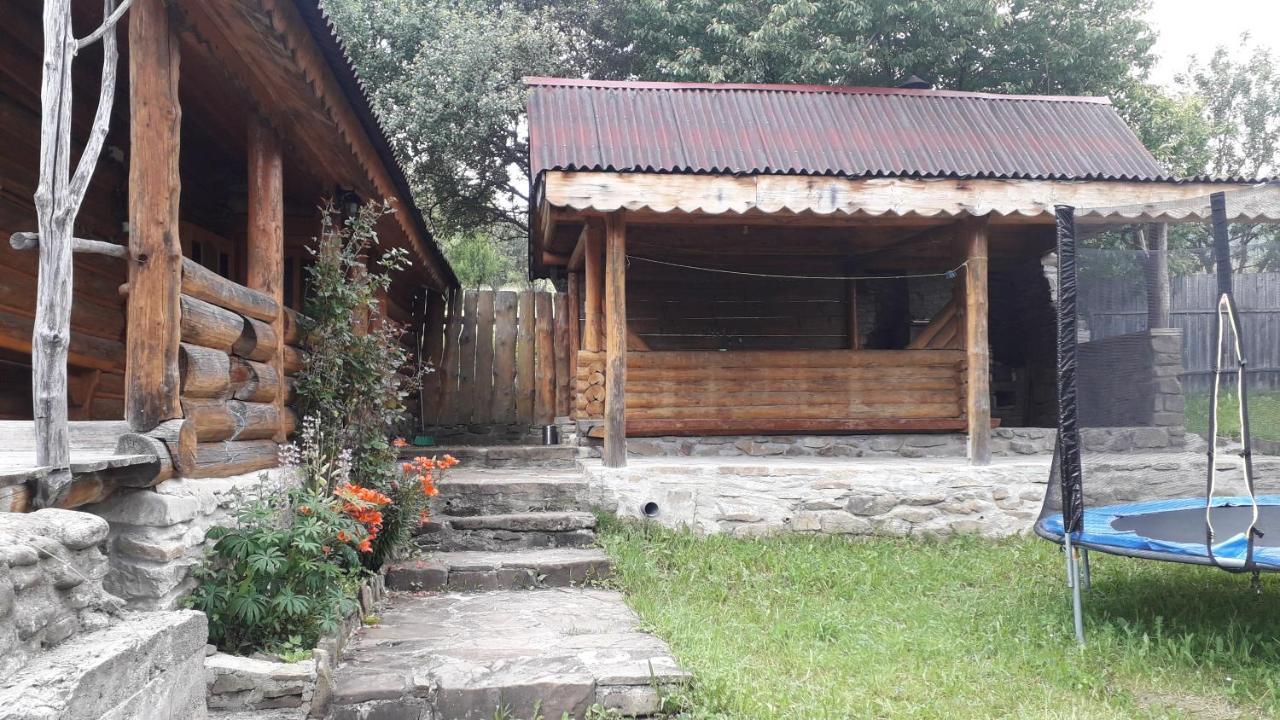 "Бджілка" І " Садиба Для Відпочинку" Lyuta Extérieur photo