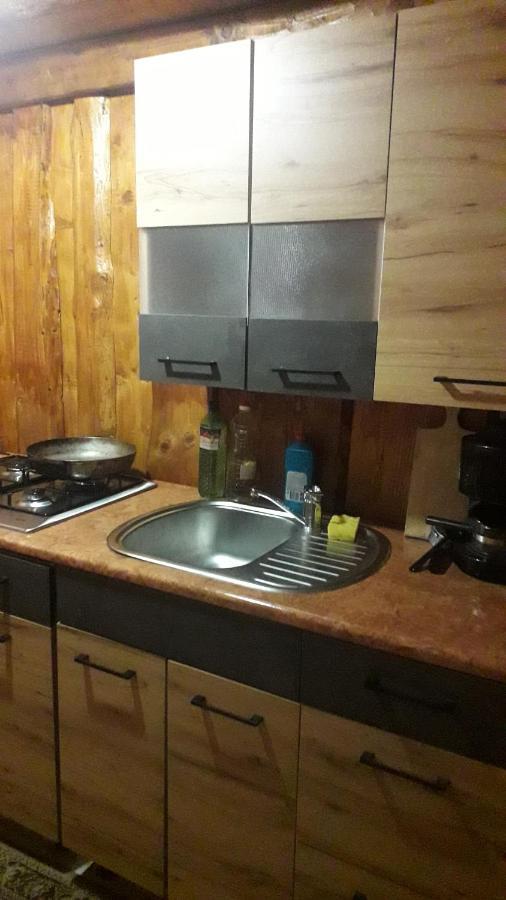 "Бджілка" І " Садиба Для Відпочинку" Lyuta Extérieur photo