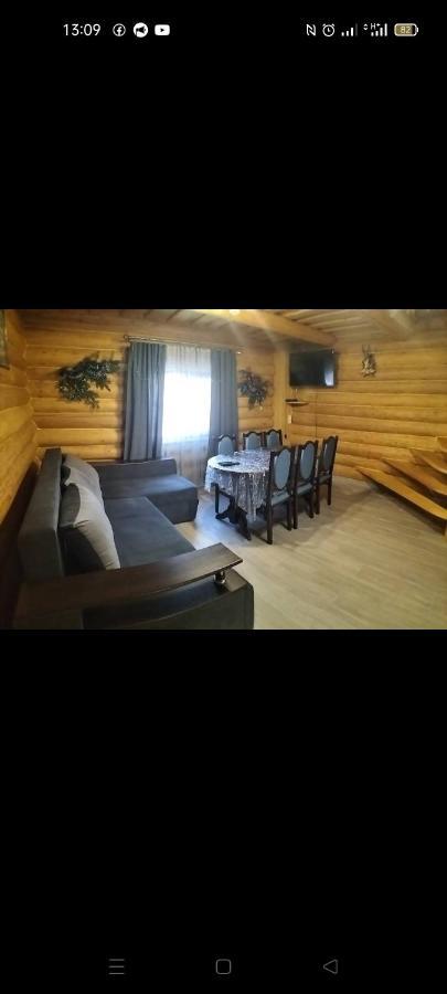 "Бджілка" І " Садиба Для Відпочинку" Lyuta Extérieur photo