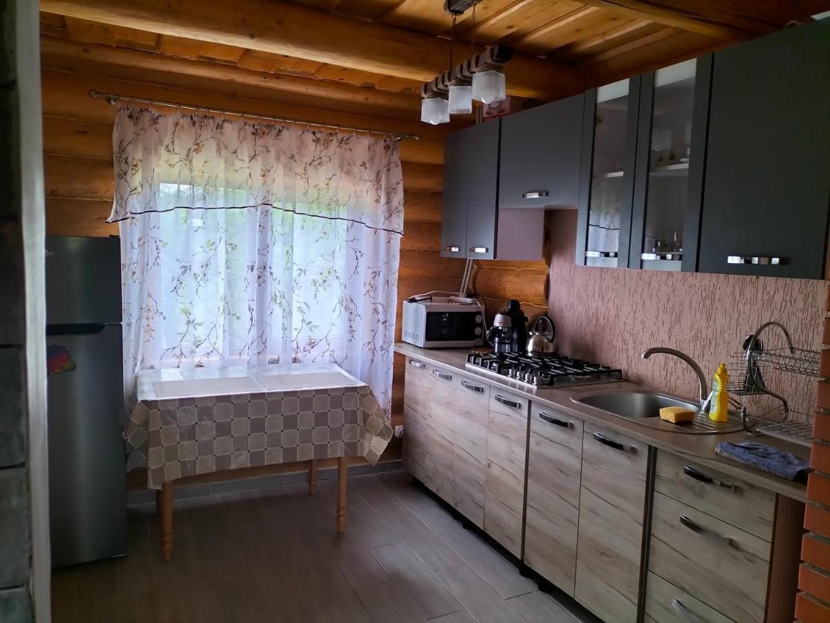 "Бджілка" І " Садиба Для Відпочинку" Lyuta Extérieur photo